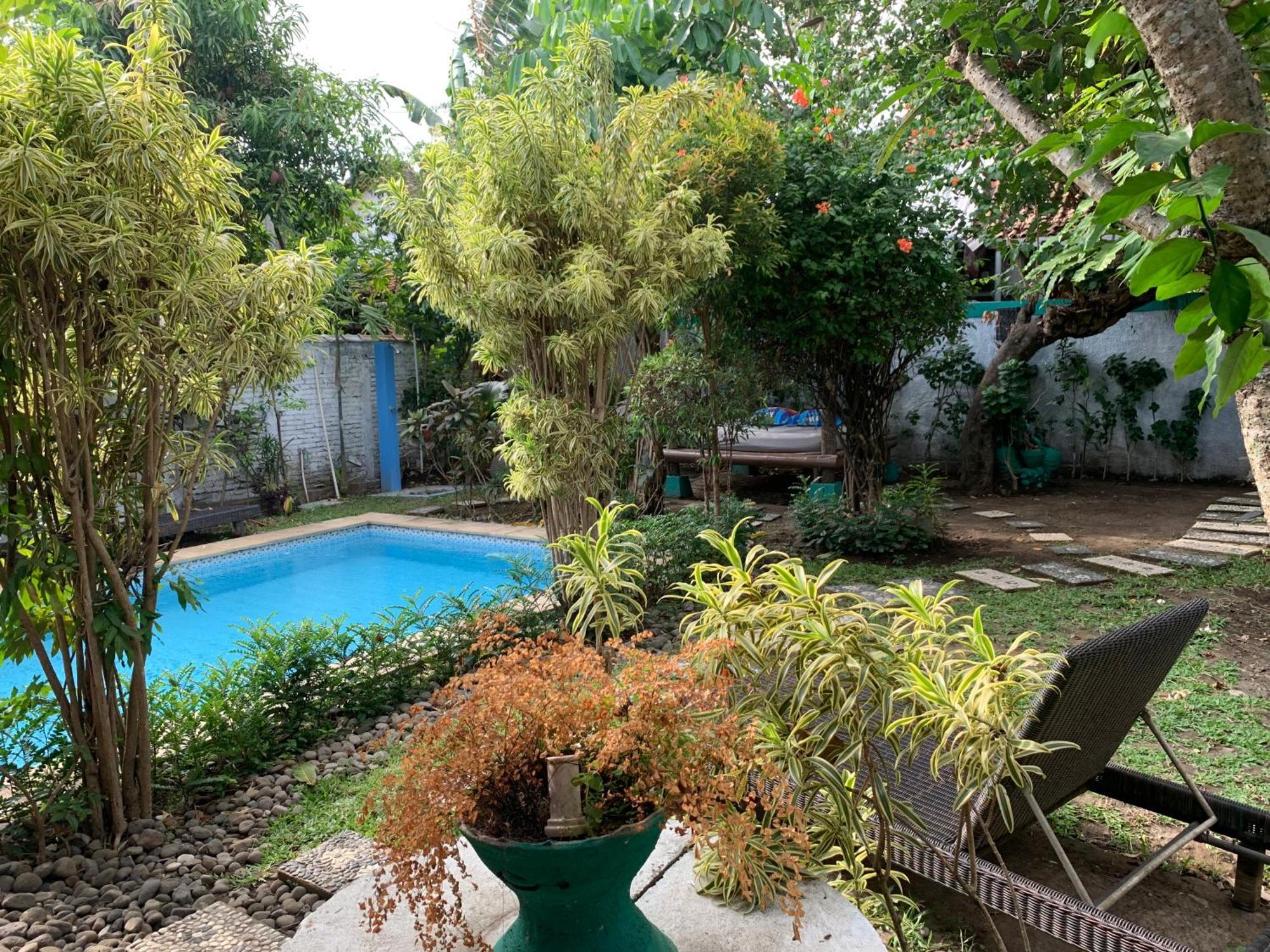 Villa Bougenville Yogyakarta Kültér fotó